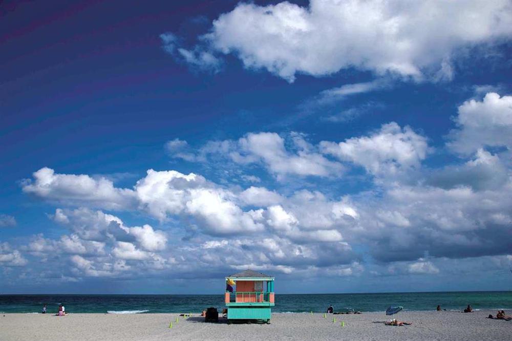 Hilton Grand Vacations Suites At South Beach Miami Beach Natur bilde